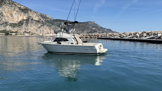Ars Mare RS29 usata in vendita