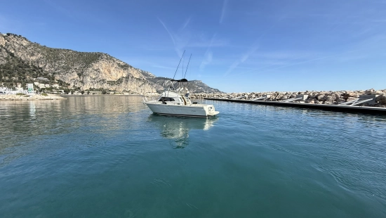 Ars Mare RS29 usata in vendita