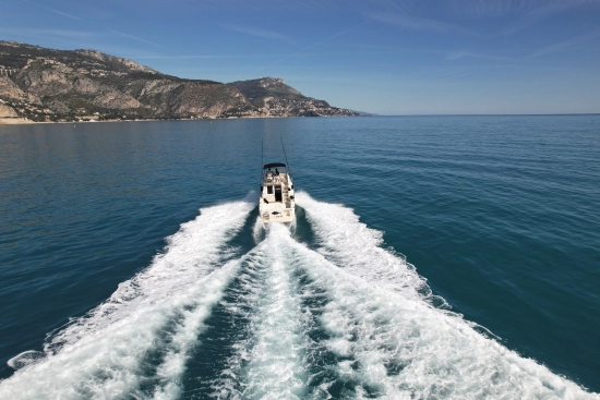 Ars Mare RS29 usata in vendita