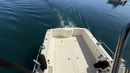 Ars Mare RS29 usata in vendita