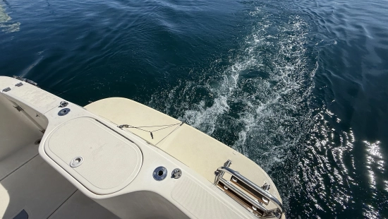 Ars Mare RS29 usata in vendita