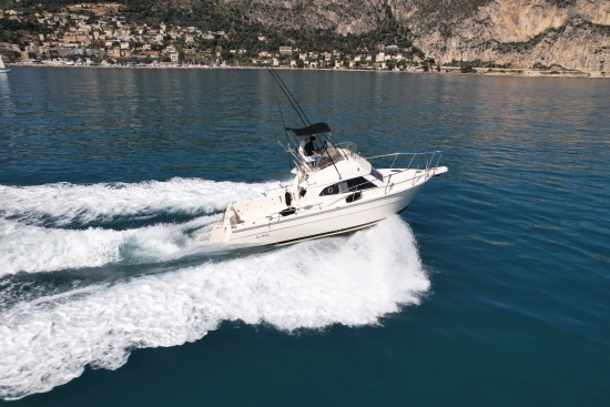 Ars Mare RS29 usata in vendita