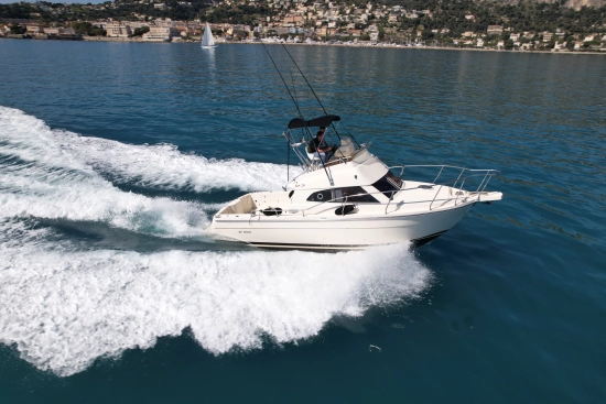 Ars Mare RS29 usata in vendita