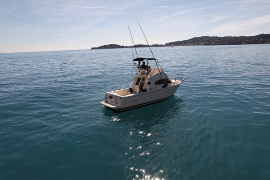 Ars Mare RS29 usata in vendita