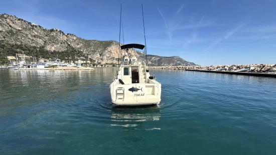 Ars Mare RS29 usata in vendita