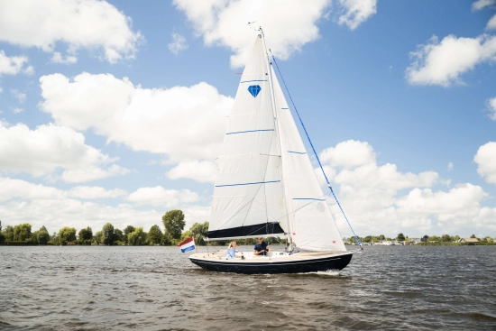 Saffier SC 6.50 Cruise nuevo en venta