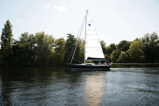 Saffier SC 8 Cabin nuevo en venta