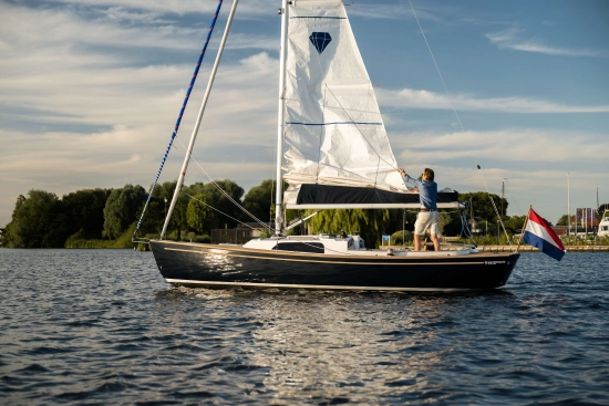 Saffier SC 8 Cabin nuevo en venta