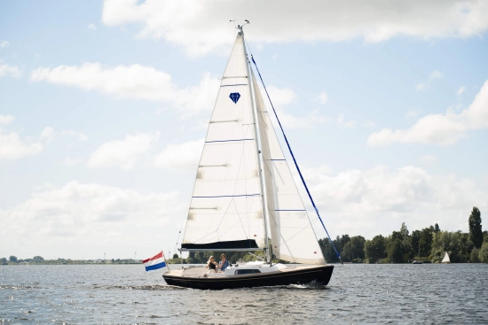 Saffier SC 8 Cabin nuevo en venta