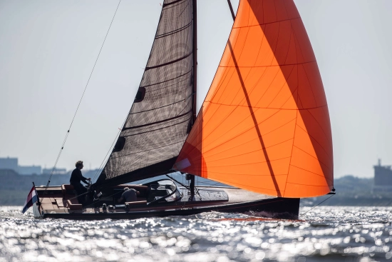 Saffier SE 33 LIFE nuevo en venta