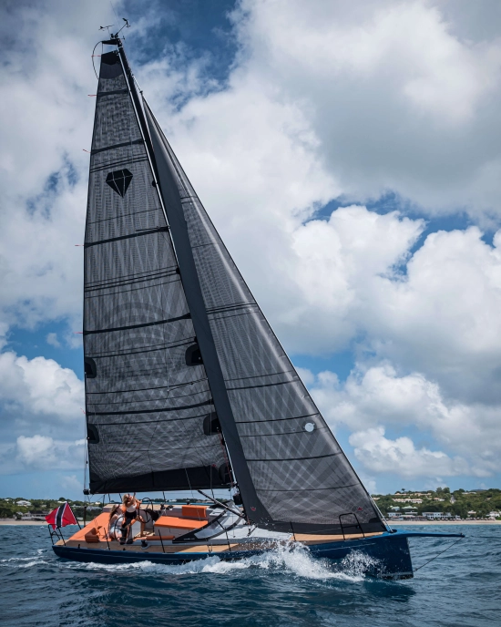 Saffier SE 33 LIFE nuevo en venta