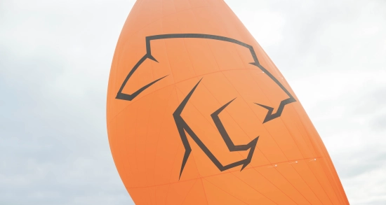 Saffier SE 28 LEOPARD nuevo en venta