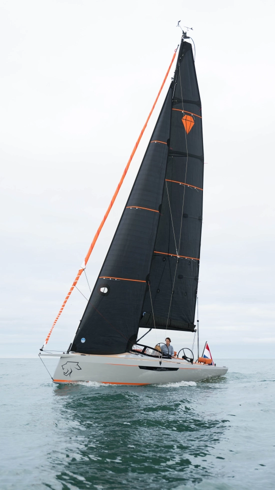 Saffier SE 28 LEOPARD nuevo en venta