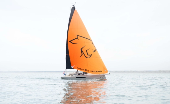 Saffier SE 28 LEOPARD nuevo en venta