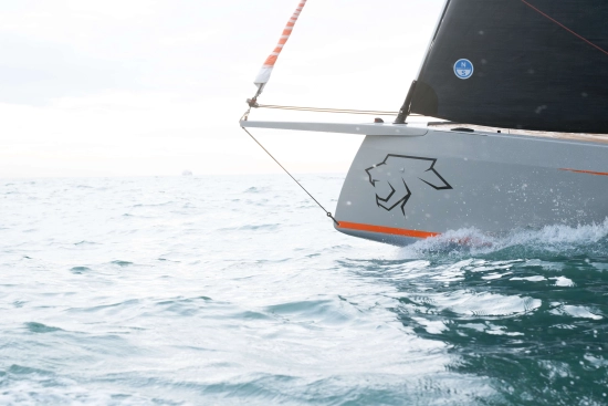 Saffier SE 28 LEOPARD nuevo en venta