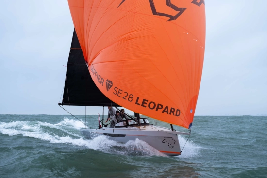 Saffier SE 28 LEOPARD nuevo en venta