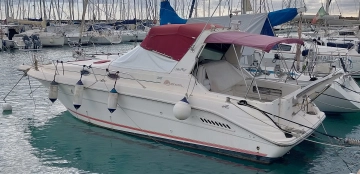 Sea Ray Sundancer 300 de segunda mano en venta