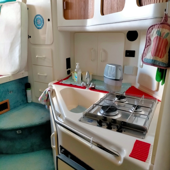 Sea Ray Sundancer 300 de segunda mano en venta