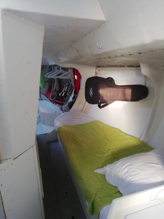 Violati Violati de segunda mano en venta