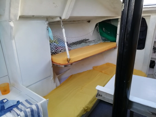 Violati Violati de segunda mano en venta