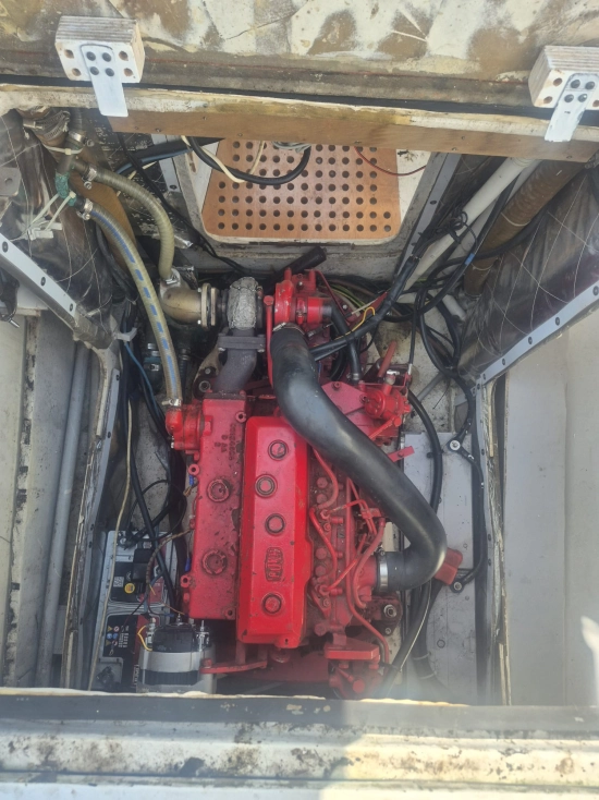 Violati Violati de segunda mano en venta