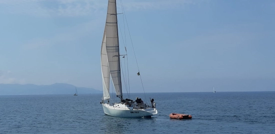 Violati Violati de segunda mano en venta