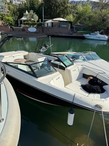 Sea Ray SDX 230 usata in vendita
