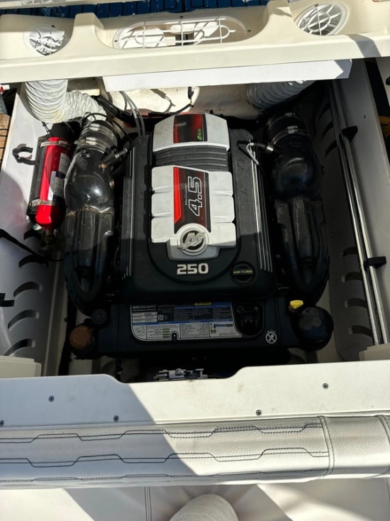 Sea Ray SDX 230 usado à venda