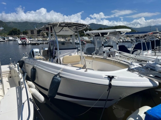 Wellcraft Scarab 26 usata in vendita