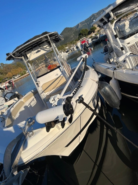 Wellcraft Scarab 26 usata in vendita
