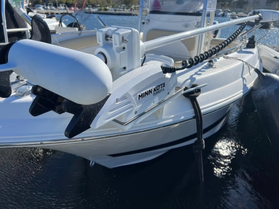Wellcraft Scarab 26 usata in vendita