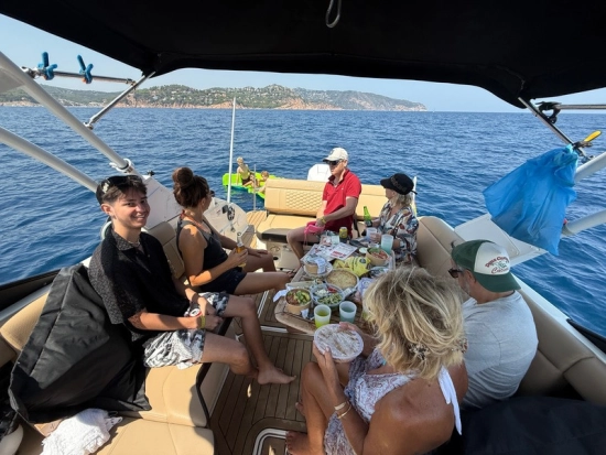 Sea Ray SDX 250 OB usado à venda