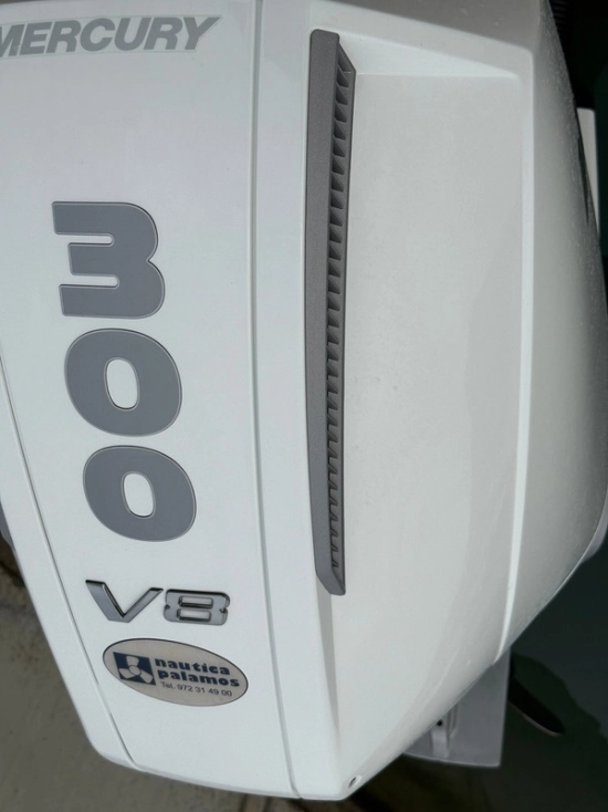 Sea Ray SDX 250 OB usado à venda