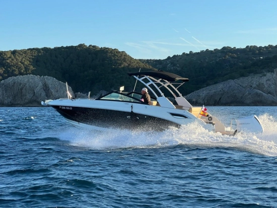 Sea Ray SDX 250 OB usado à venda
