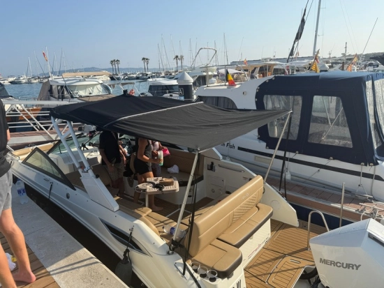 Sea Ray SDX 250 OB usado à venda