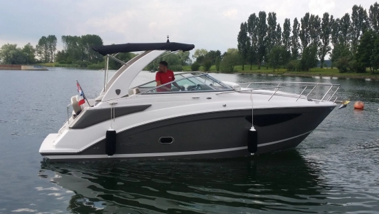 Regal 26 Express usata in vendita