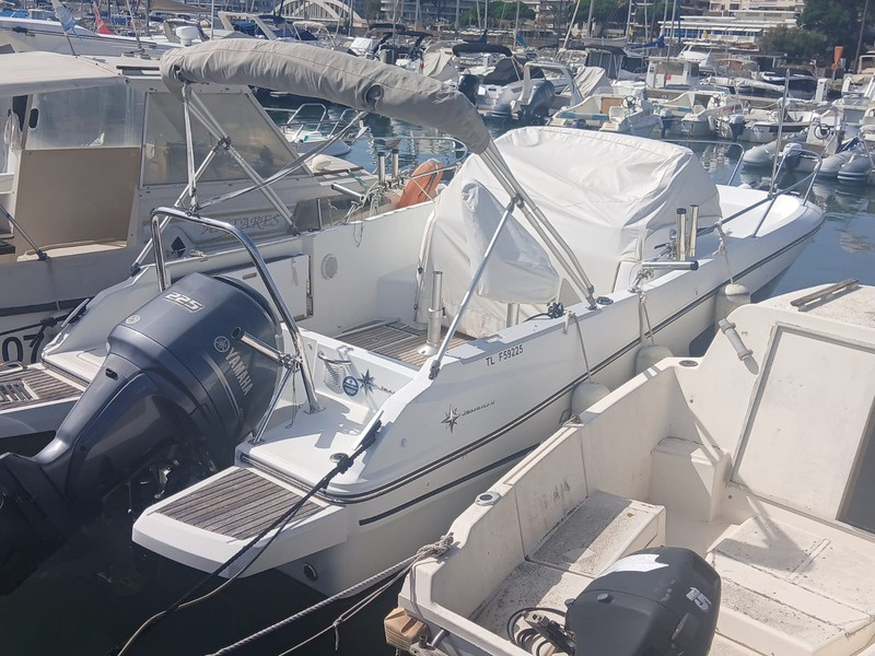 Rhea marine
