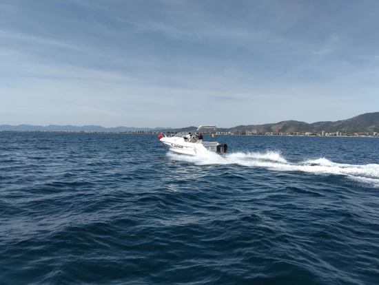 Quicksilver Cruiser 590 de segunda mano en venta