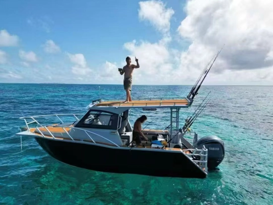 Finish Line 9.5 m Sports Fishing Range nuevo en venta