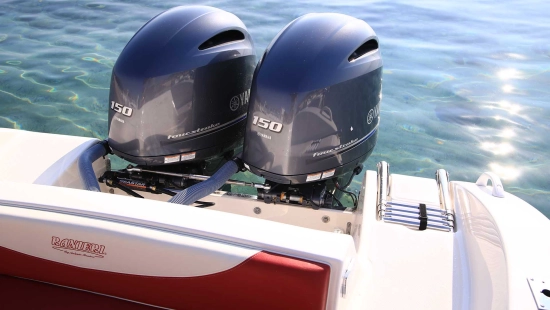 Ranieri R25 nuevo en venta