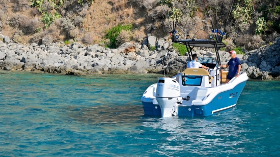 Ranieri Renegade 22 nuevo en venta