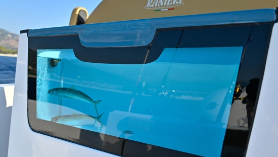 Ranieri Renegade 22 nuevo en venta