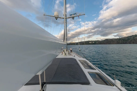 Alloy Yachts Sloop de segunda mano en venta