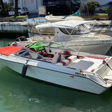 Sea Ray 210 Bowrider usata in vendita