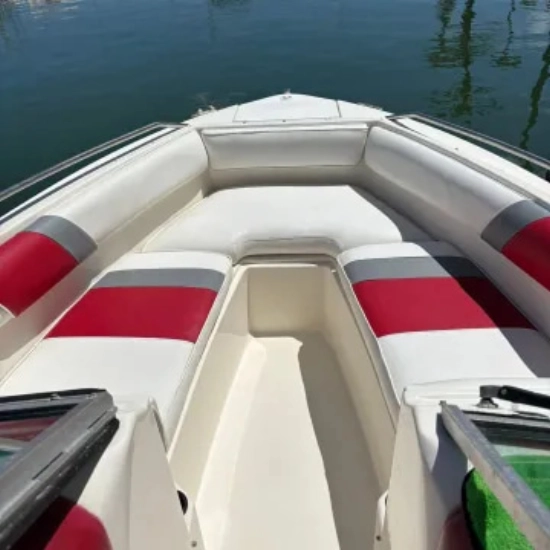 Sea Ray 210 Bowrider de segunda mano en venta