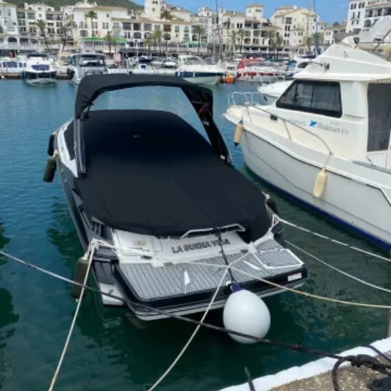 Monterey 298SS Super Sport de segunda mano en venta