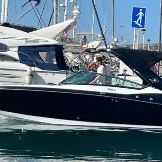 Monterey 298SS Super Sport de segunda mano en venta