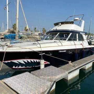 Princess 330 usata in vendita