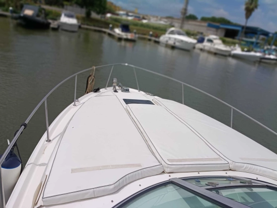 Sea Ray Sundancer 335 de segunda mano en venta