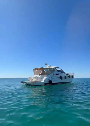 Rio 47 Cruiser usado à venda